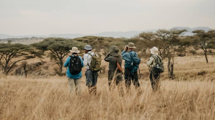 Guided Walking Safari
