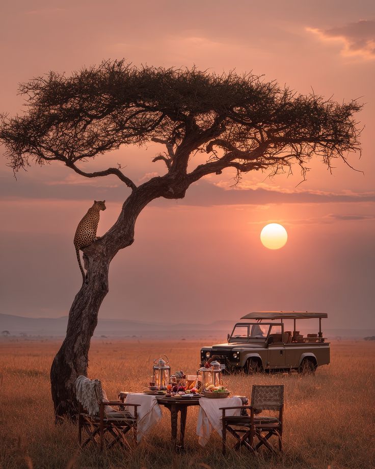 The Art of Luxury Safari