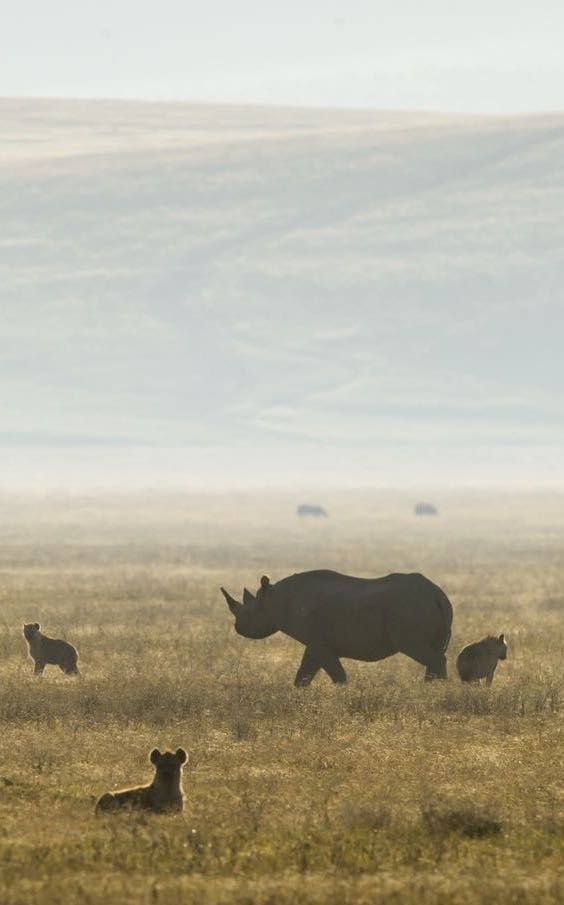 Great Migration