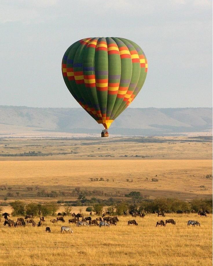 Hot Air Balloon Safari