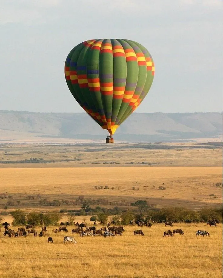Hot Air Balloon Safari