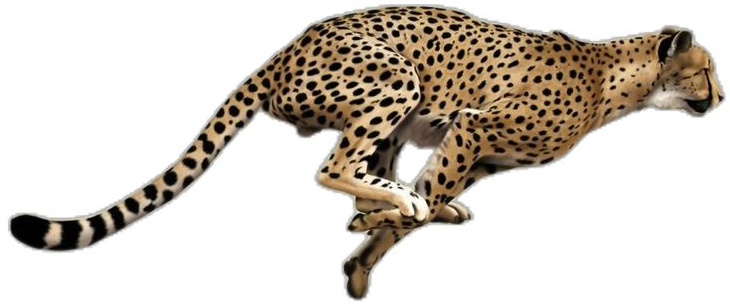 Second image