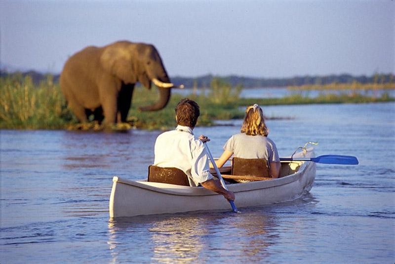 Lake Canoeing Safari