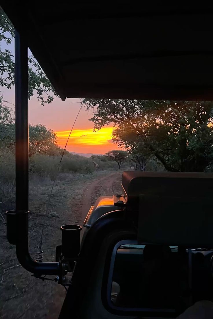 Night Game Drive