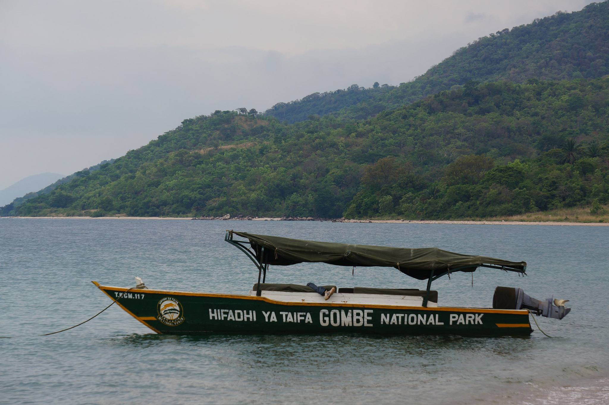 Boat Journey to Gombe