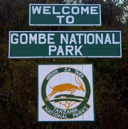 Gombe Stream National Park