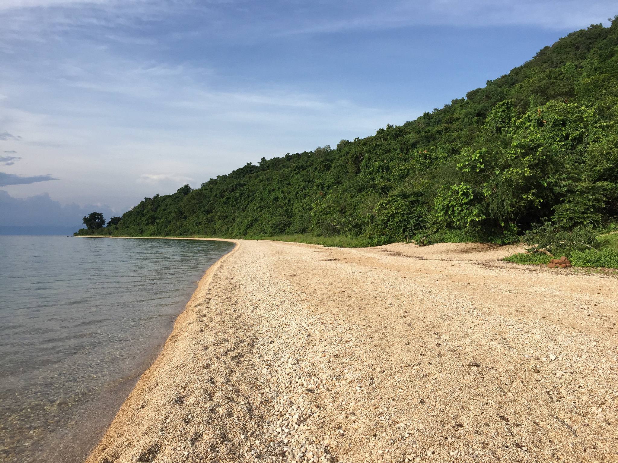 Lake Tanganyika shoreline at Gombe