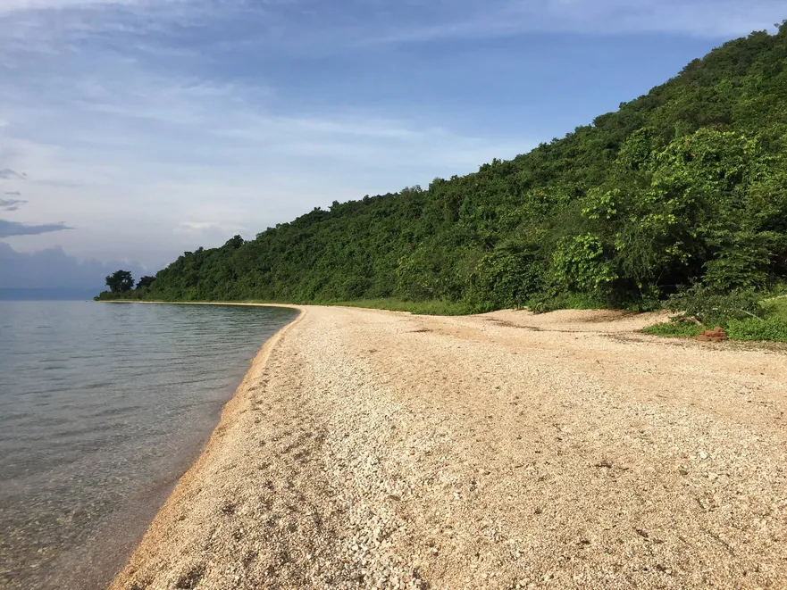 Lake Tanganyika shoreline at Gombe