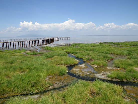Maji Moto Hot Springs