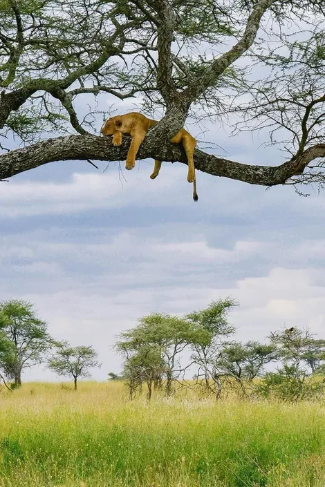Lake Manyara