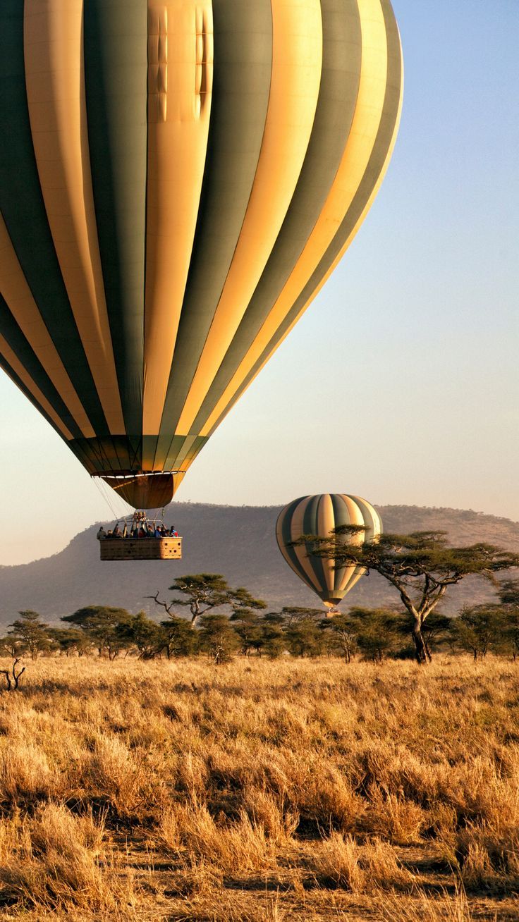 Savanna landscape