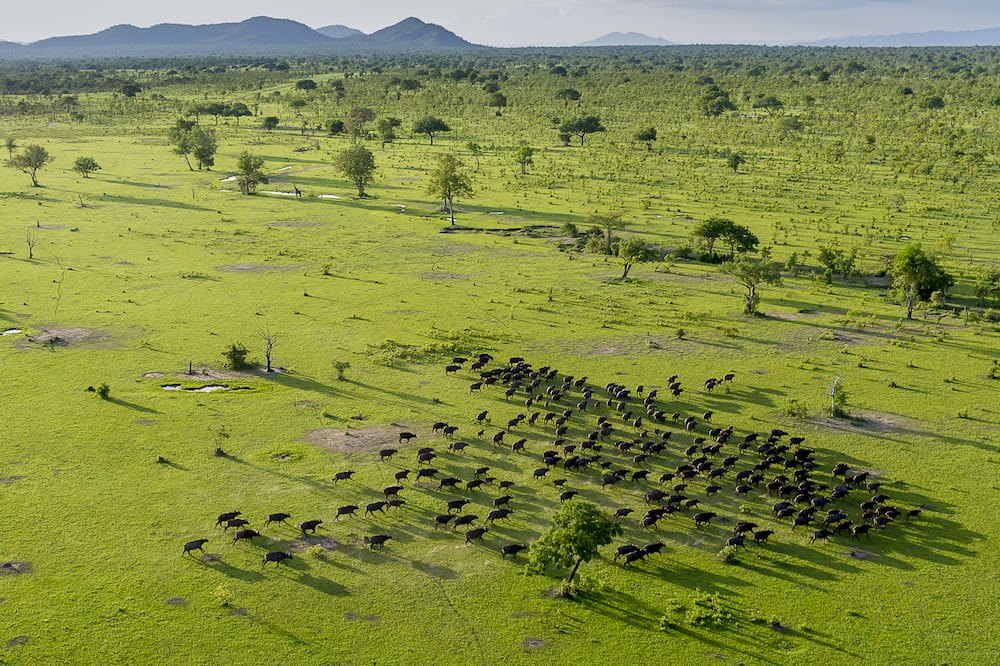 Nyerere landscape