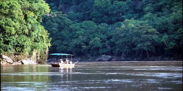 Boat safari on the Rufiji