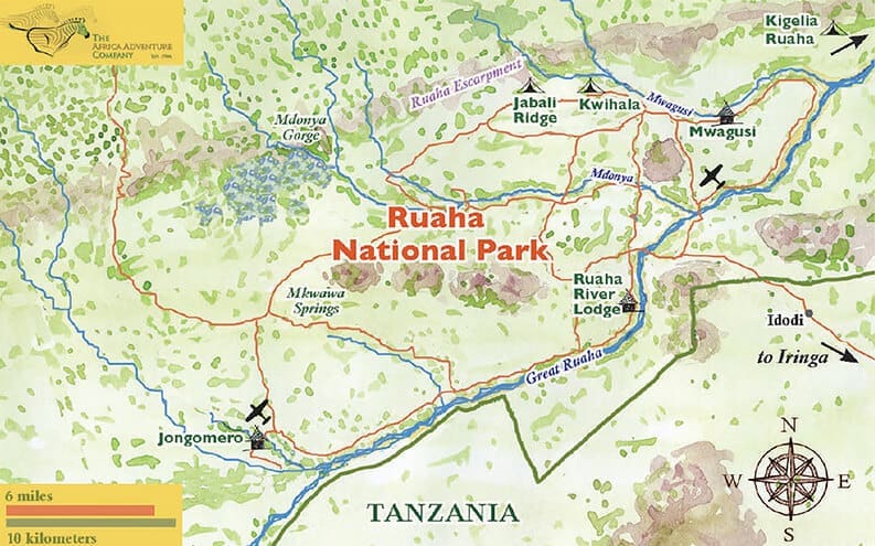 Ruaha elephants at the river