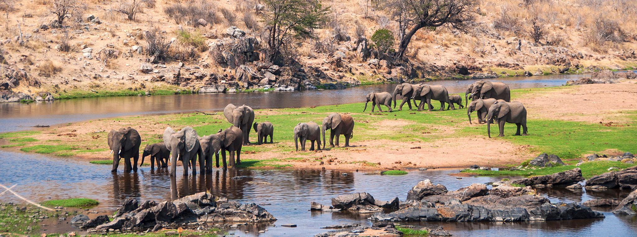 Ruaha plains