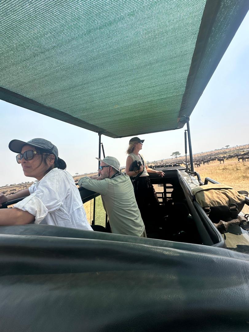 Enormous hippo concentration in Katavi dry season pool